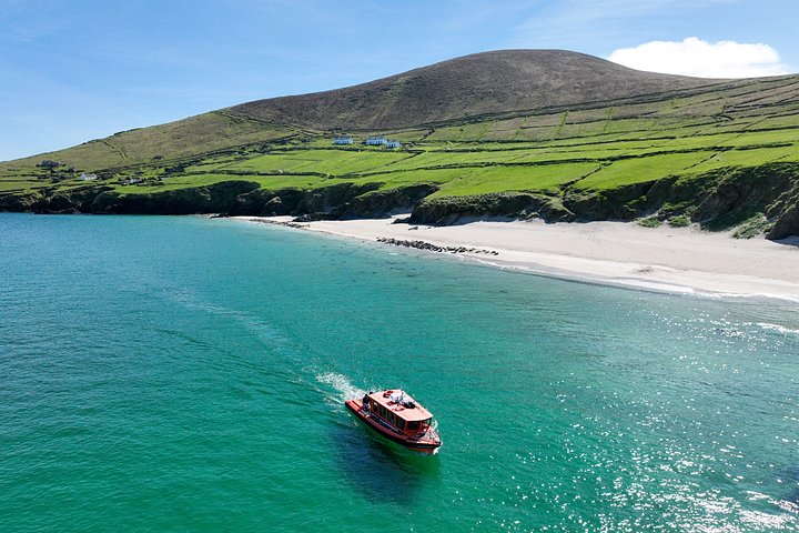 Dingle | wizardtrip
