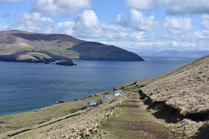 Excursion en hors-bord vers la Grande Île Blasket depuis Dingle, Irlande, présentant des paysages côtiers et la faune, photo 8 | wizardtrip