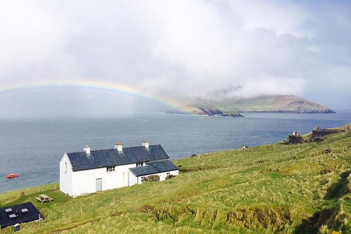 Excursion en hors-bord vers la Grande Île Blasket depuis Dingle, Irlande, présentant des paysages côtiers et la faune, photo 10 | wizardtrip