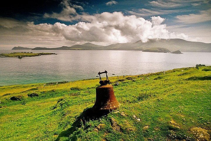 Excursion en hors-bord vers la Grande Île Blasket depuis Dingle, Irlande, présentant des paysages côtiers et la faune, photo 14 | wizardtrip