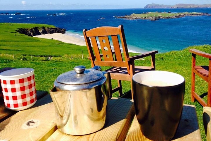 Excursion en hors-bord vers la Grande Île Blasket depuis Dingle, Irlande, présentant des paysages côtiers et la faune, photo 15 | wizardtrip