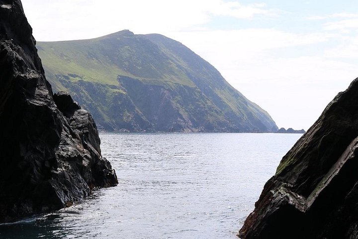 Excursion en hors-bord vers la Grande Île Blasket depuis Dingle, Irlande, présentant des paysages côtiers et la faune, photo 17 | wizardtrip