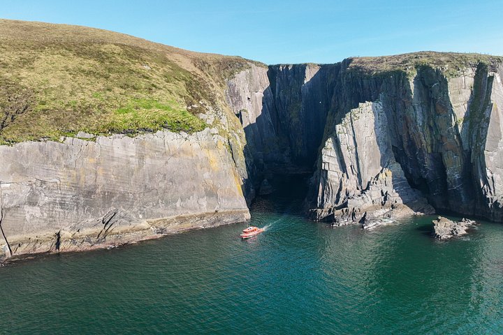 Excursion en hors-bord vers la Grande Île Blasket depuis Dingle, Irlande, présentant des paysages côtiers et la faune, photo 23 | wizardtrip