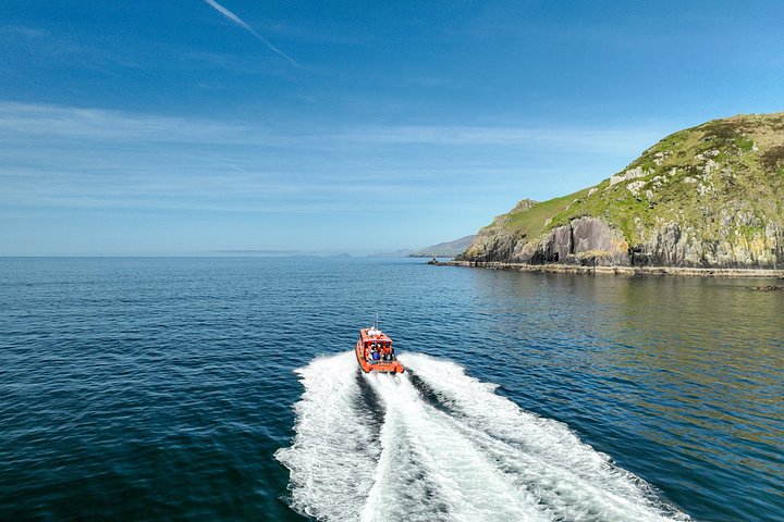 Excursion en hors-bord vers la Grande Île Blasket depuis Dingle, Irlande, présentant des paysages côtiers et la faune, photo 24 | wizardtrip