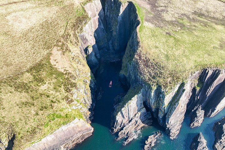 Excursion en hors-bord vers la Grande Île Blasket depuis Dingle, Irlande, présentant des paysages côtiers et la faune, photo 27 | wizardtrip