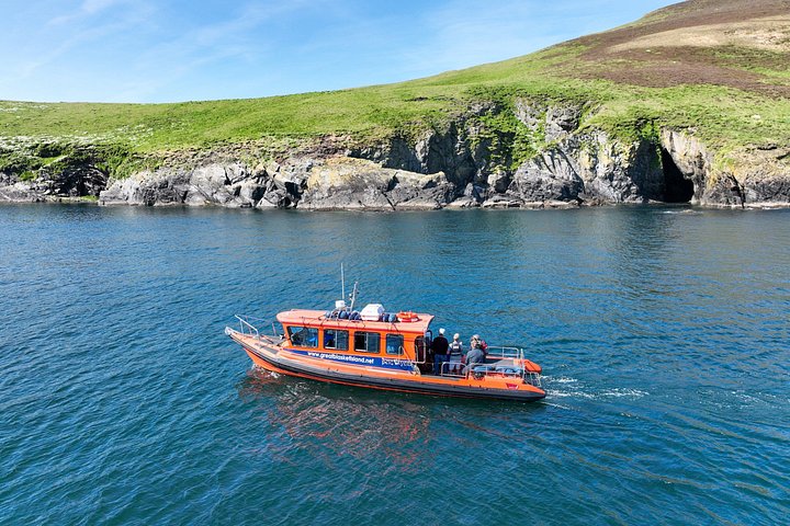 Excursion en hors-bord vers la Grande Île Blasket depuis Dingle, Irlande, présentant des paysages côtiers et la faune, photo 30 | wizardtrip