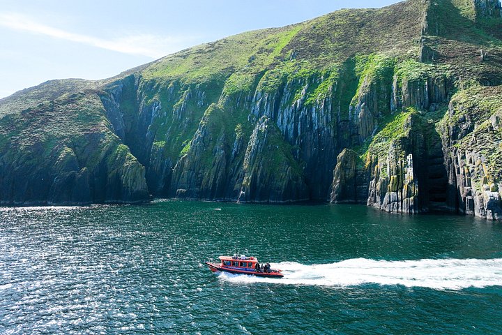 Excursion en hors-bord vers la Grande Île Blasket depuis Dingle, Irlande, présentant des paysages côtiers et la faune, photo 32 | wizardtrip