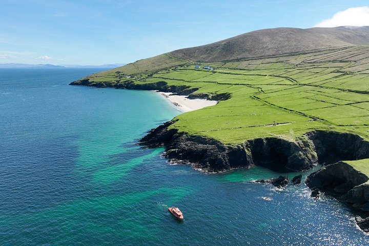 Excursion en hors-bord vers la Grande Île Blasket depuis Dingle, Irlande, présentant des paysages côtiers et la faune, photo 33 | wizardtrip