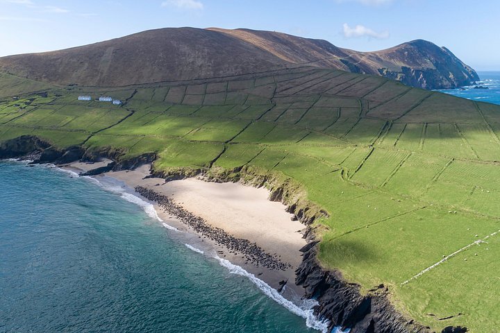 Excursion en hors-bord vers la Grande Île Blasket depuis Dingle, Irlande, présentant des paysages côtiers et la faune, photo 43 | wizardtrip