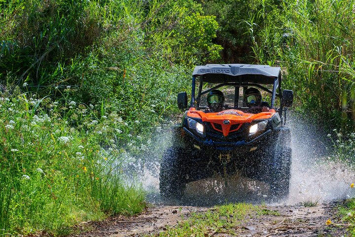 Buggy Safari Tour (3H) | wizardtrip