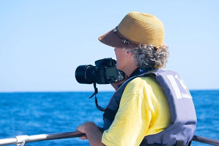 Small group whale watching tour with marine biologist in Cabo San Lucas, photo 16 | wizardtrip