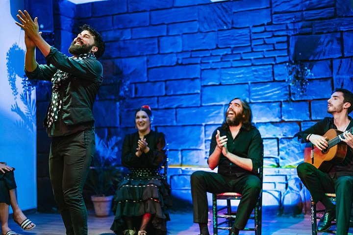 Authentic flamenco performance with dancers, singers, and musicians in Seville, photo 13 | wizardtrip
