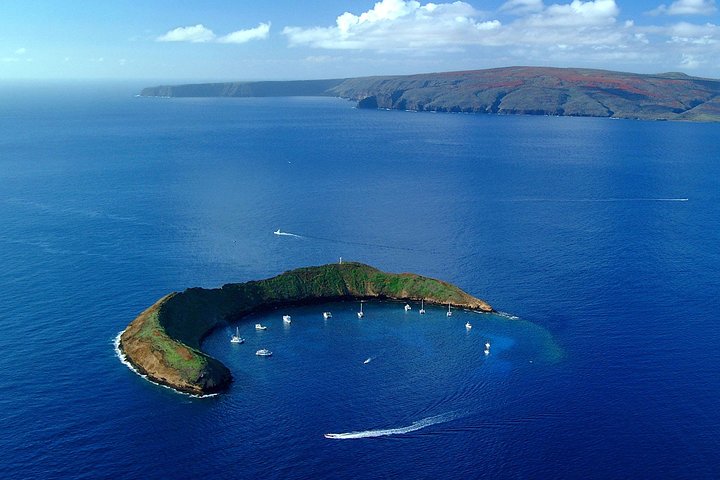 Maui Schnorchel-Abenteuer vom Ma'alaea Hafen nach Molokini | wizardtrip
