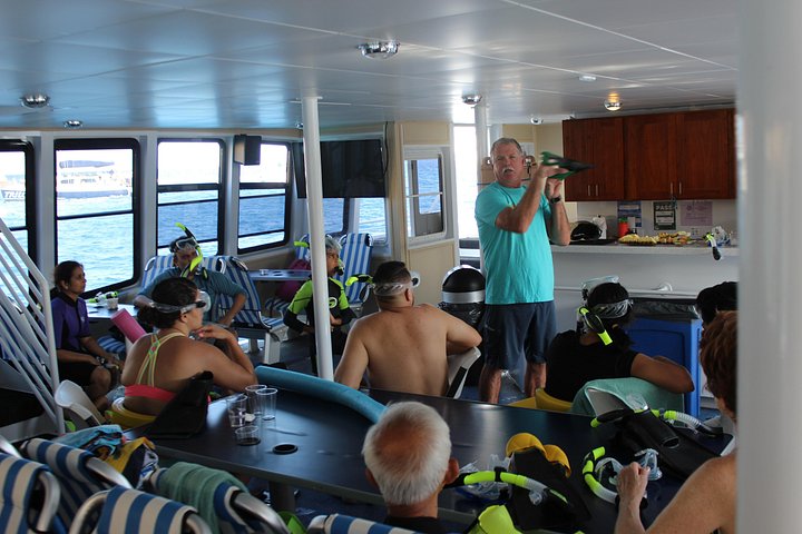Snorkeling adventure in Maui to Molokini Crater and Turtle Town on a catamaran, photo 8 | wizardtrip