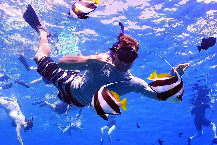 Snorkeling adventure in Maui to Molokini Crater and Turtle Town on a catamaran, photo 13 | wizardtrip