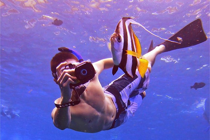 Snorkeling adventure in Maui to Molokini Crater and Turtle Town on a catamaran, photo 14 | wizardtrip