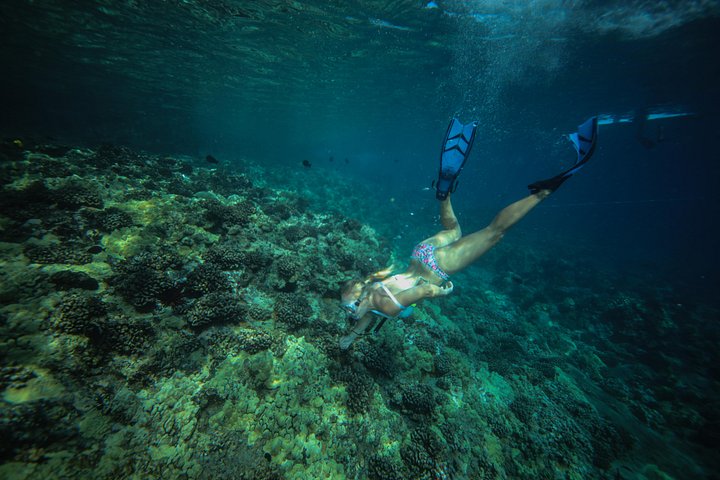 Snorkeling adventure in Maui to Molokini Crater and Turtle Town on a catamaran, photo 16 | wizardtrip