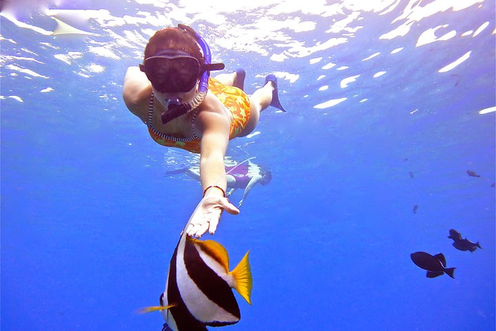Snorkeling adventure in Maui to Molokini Crater and Turtle Town on a catamaran, photo 19 | wizardtrip