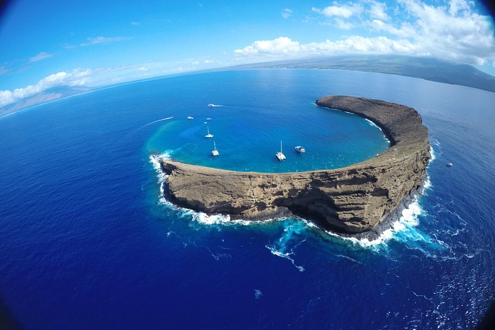 Snorkeling adventure in Maui to Molokini Crater and Turtle Town on a catamaran, photo 33 | wizardtrip
