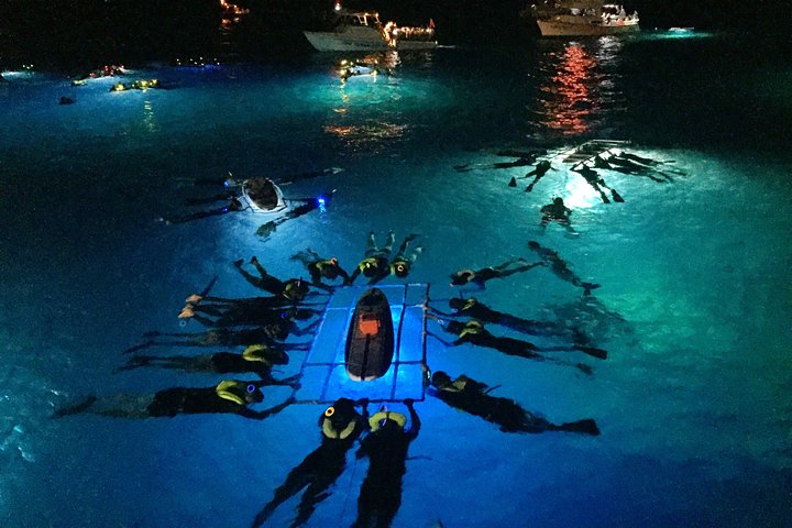 Natdykning med Manta Rays på Big Island | wizardtrip