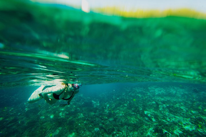 Power catamaran snorkel tour op Big Island, Hawaï, die Kealakekua Bay en zeeleven verkent, foto 6 | wizardtrip