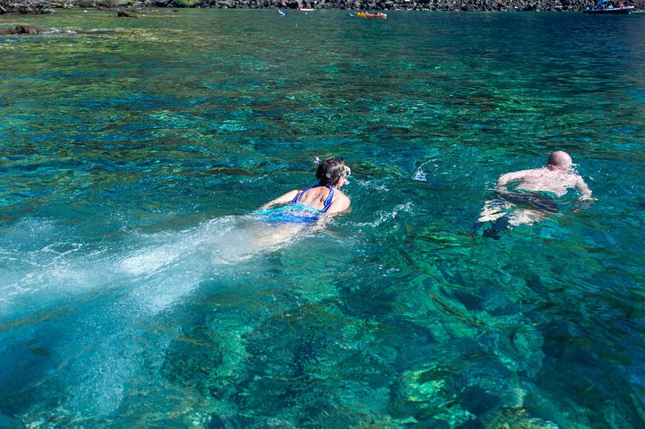 Power catamaran snorkel tour op Big Island, Hawaï, die Kealakekua Bay en zeeleven verkent, foto 10 | wizardtrip