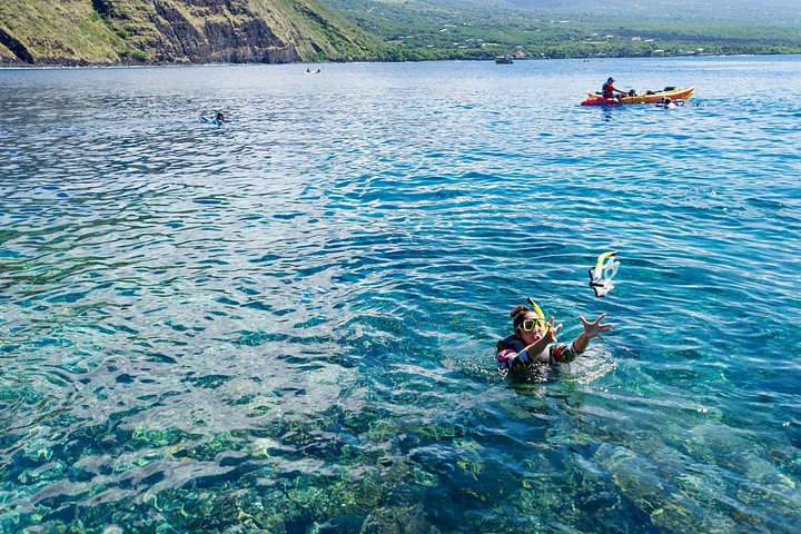 Power catamaran snorkel tour op Big Island, Hawaï, die Kealakekua Bay en zeeleven verkent, foto 12 | wizardtrip