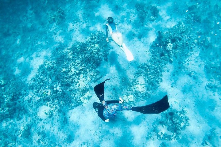 Power catamaran snorkel tour op Big Island, Hawaï, die Kealakekua Bay en zeeleven verkent, foto 15 | wizardtrip