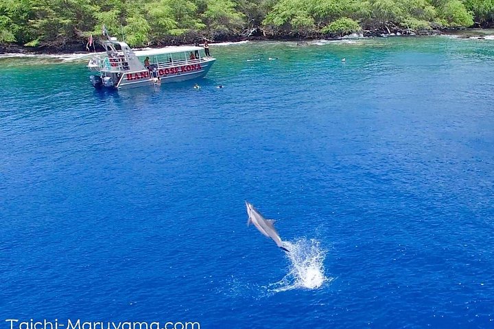 Power catamaran snorkel tour op Big Island, Hawaï, die Kealakekua Bay en zeeleven verkent, foto 21 | wizardtrip