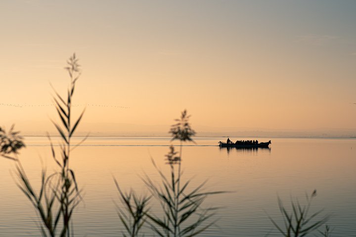 Utforsk den fantastiske Albufera naturpark nær Valencia med en båttur og lokal guide, foto 6 | wizardtrip