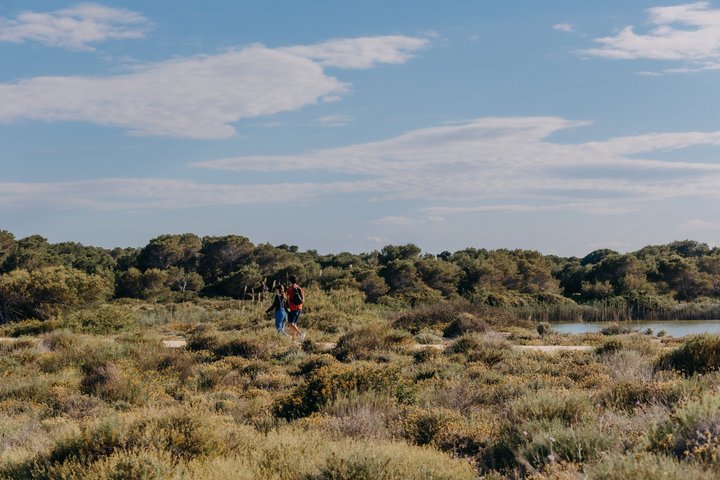 Utforsk den fantastiske Albufera naturpark nær Valencia med en båttur og lokal guide, foto 9 | wizardtrip