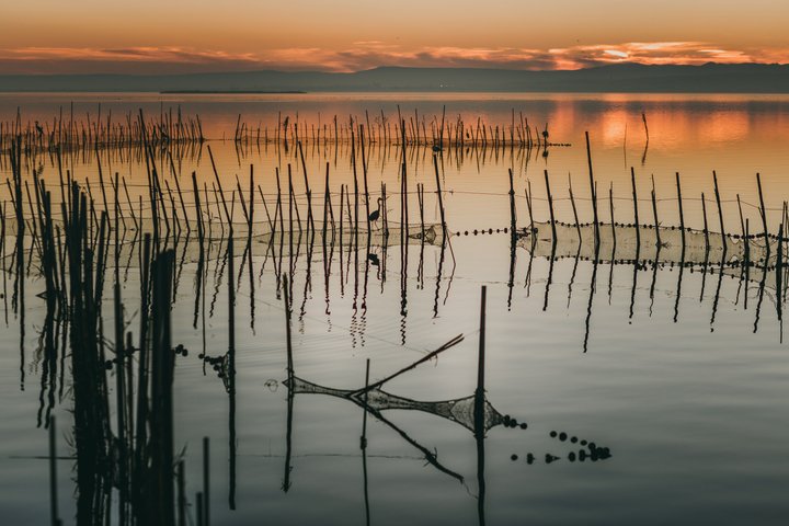 Utforsk den fantastiske Albufera naturpark nær Valencia med en båttur og lokal guide, foto 10 | wizardtrip