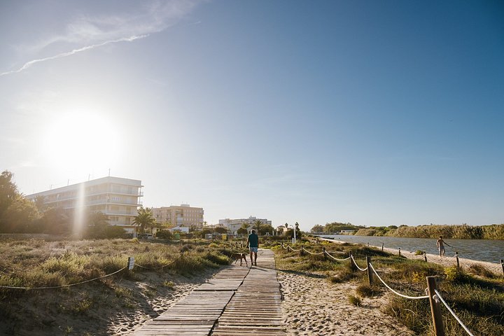 Utforsk den fantastiske Albufera naturpark nær Valencia med en båttur og lokal guide, foto 14 | wizardtrip