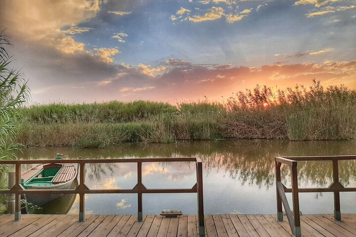 Utforsk den fantastiske Albufera naturpark nær Valencia med en båttur og lokal guide, foto 15 | wizardtrip