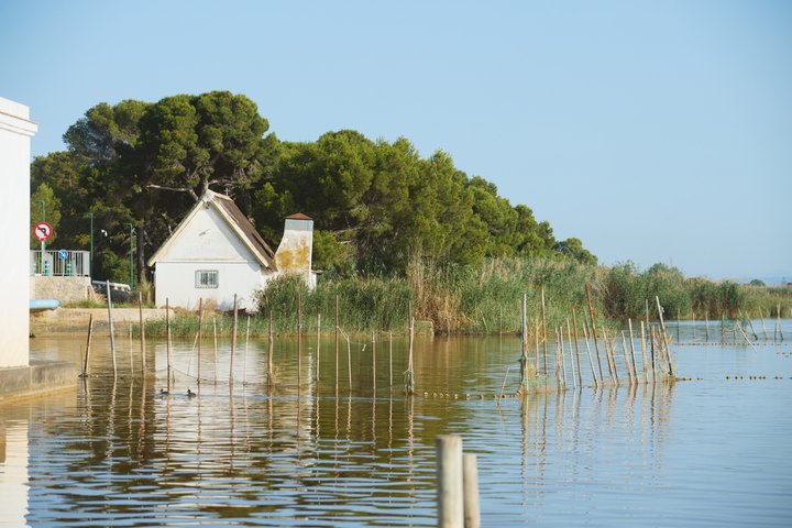 Utforsk den fantastiske Albufera naturpark nær Valencia med en båttur og lokal guide, foto 16 | wizardtrip