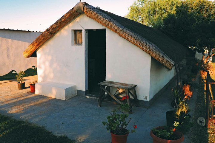 Utforsk den fantastiske Albufera naturpark nær Valencia med en båttur og lokal guide, foto 20 | wizardtrip