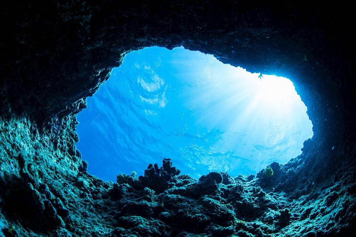 Bootstour in kleiner Gruppe zur Erkundung der Blauen Höhle und des Šunj Strandes bei Dubrovnik, mit Schwimmen und Schnorcheln, Foto 9 | wizardtrip