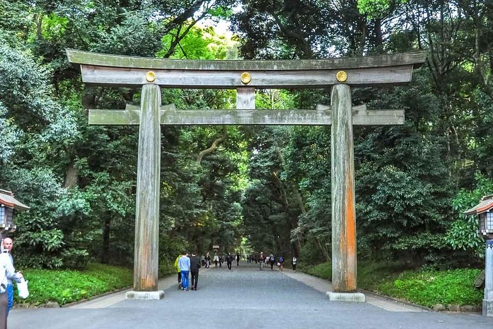 Privat guidet tur til Tokyos ikoniske vartegn, inklusive templer, markeder og tårne, foto 7 | wizardtrip