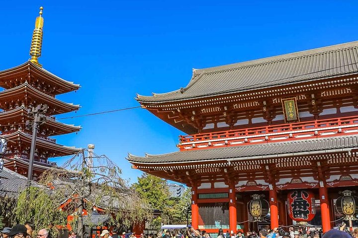 Privat guidet tur til Tokyos ikoniske vartegn, inklusive templer, markeder og tårne, foto 8 | wizardtrip