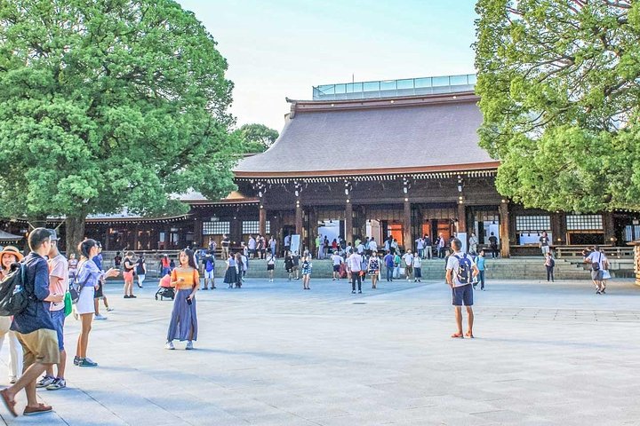 Privat guidet tur til Tokyos ikoniske vartegn, inklusive templer, markeder og tårne, foto 11 | wizardtrip