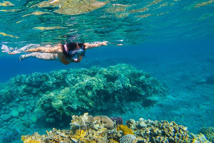 Speedboot-Tour zu den Phi Phi Inseln von Phuket, Thailand, mit Besuch der Maya Bay und Schnorchelplätzen, Foto 6 | wizardtrip