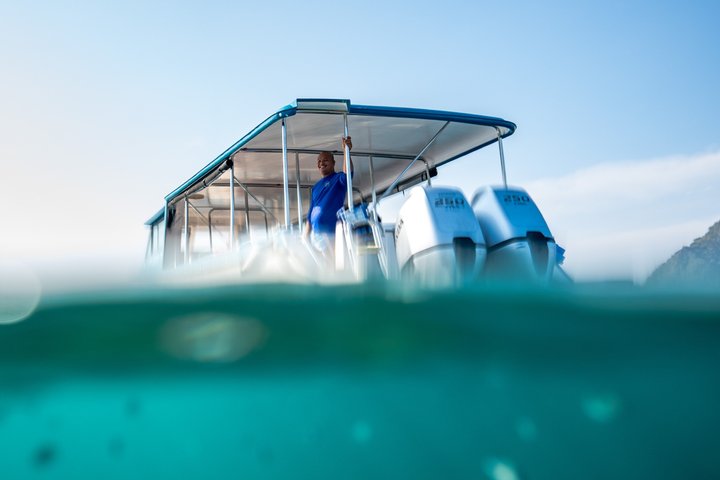 Speedboot-Tour zu den Phi Phi Inseln von Phuket, Thailand, mit Besuch der Maya Bay und Schnorchelplätzen, Foto 9 | wizardtrip