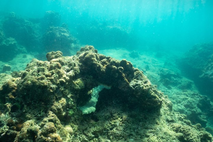 Speedboot-Tour zu den Phi Phi Inseln von Phuket, Thailand, mit Besuch der Maya Bay und Schnorchelplätzen, Foto 11 | wizardtrip