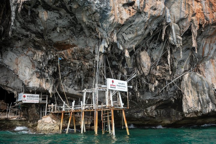 Speedboot-Tour zu den Phi Phi Inseln von Phuket, Thailand, mit Besuch der Maya Bay und Schnorchelplätzen, Foto 20 | wizardtrip