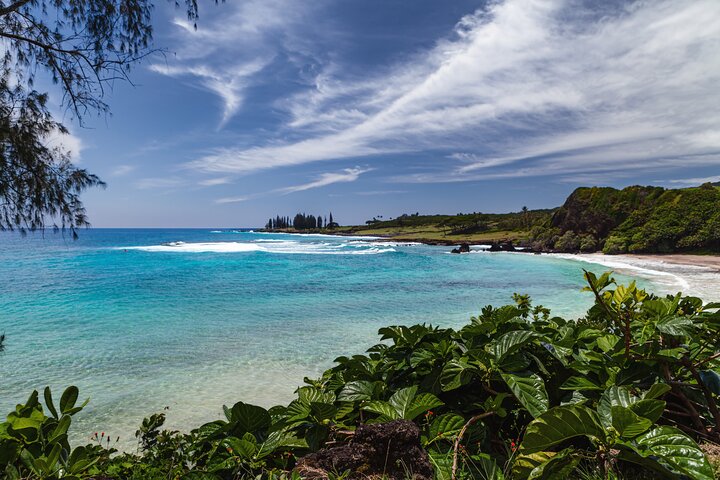 Malerische Road to Hana Tour auf Maui mit Wasserfällen, schwarzem Sandstrand und üppigem Regenwald, Foto 21 | wizardtrip