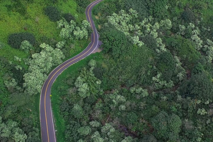 Malerische Road to Hana Tour auf Maui mit Wasserfällen, schwarzem Sandstrand und üppigem Regenwald, Foto 22 | wizardtrip