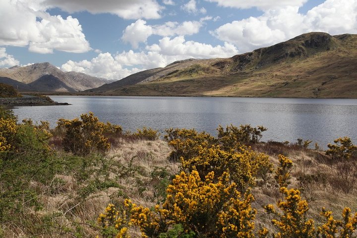 Excursion guidée des paysages spectaculaires et côtiers du Connemara au départ de Galway, Irlande, photo 7 | wizardtrip