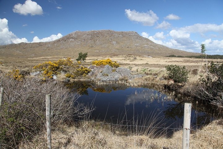 Excursion guidée des paysages spectaculaires et côtiers du Connemara au départ de Galway, Irlande, photo 14 | wizardtrip