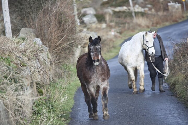 Excursion guidée des paysages spectaculaires et côtiers du Connemara au départ de Galway, Irlande, photo 17 | wizardtrip