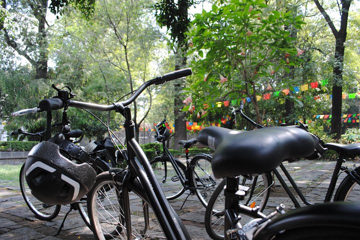 Cykeltur genom Frida Kahlos Coyoacán-kvarter i Mexico City, inklusive marknader och churros, foto 10 | wizardtrip